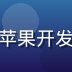 糖心破解版iOS端开发工程师王浩然，苹果开发者，专注企业证书分发与iOS侧载方案